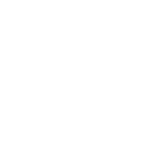 logo.abig_ ABIG logo